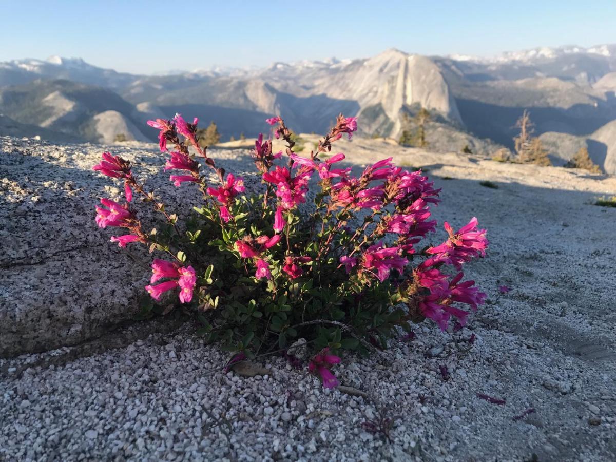 마리포사 Morning Star Vista Near Yosemite - Countryside With Mountain Views 아파트 외부 사진